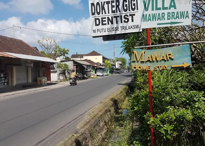 Mawar